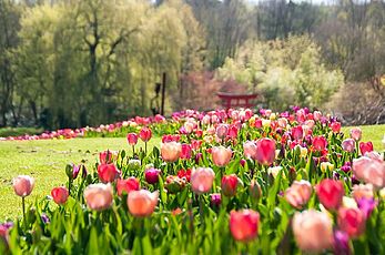 Schlossgärten Arcen – Ein Park zum Verlieben schön!